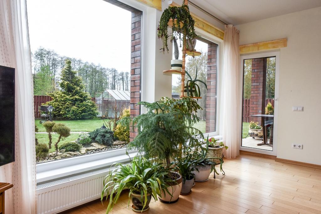 Apartamentai Pluke Palanga Eksteriør billede